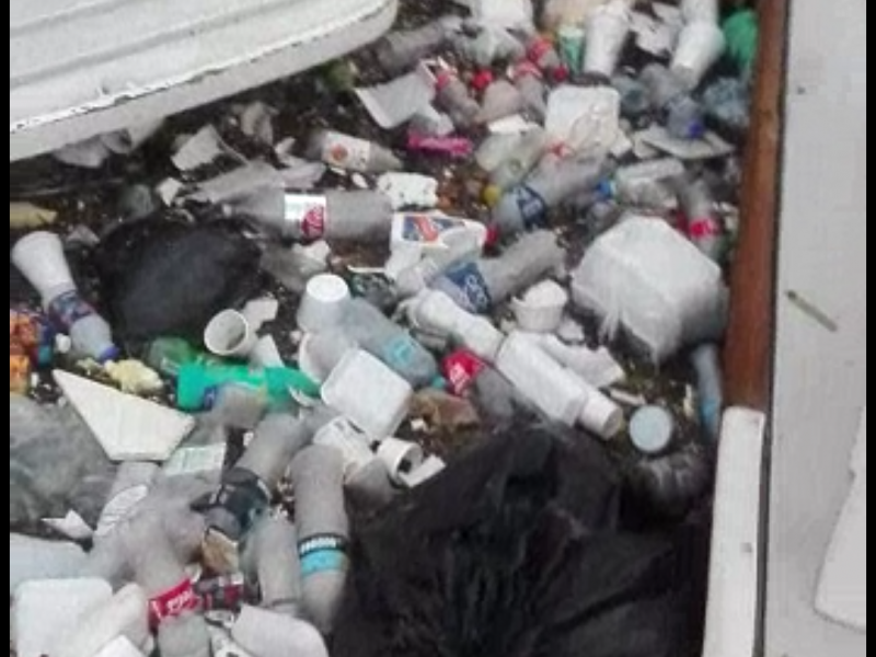 Basura de arroyos desembocó en la marina