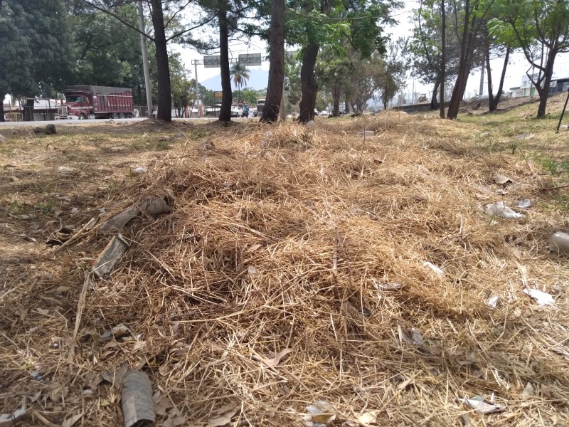 Basura del parque lineal, un peligro latente de incendios