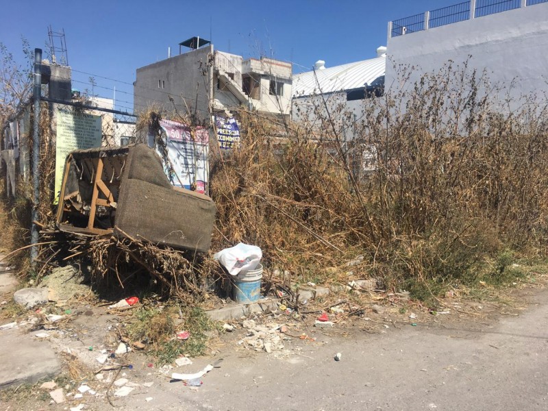 Basura e inseguridad se vive en Arboledas de Loma Bella