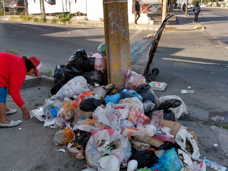 Basura en colonia Tres Cruces