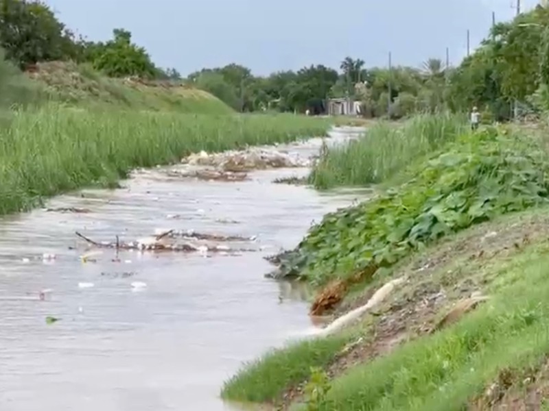 Basura en drenajes pluviales agrava encharcamientos en Guasave