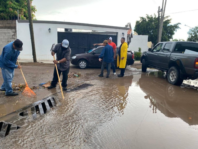 Basura en la calle reduce 80% flujo del agua pluvial en Navojoa