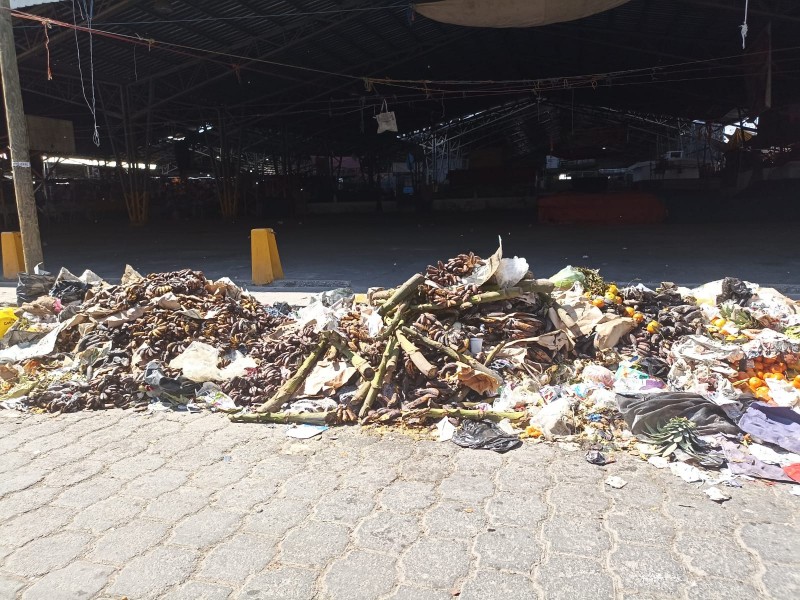 Basura en La Purísima genera hartazgo, sin atención por autoridades