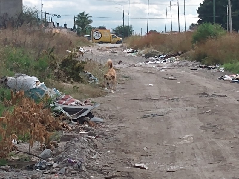 Basura genera afectaciones en Hacienda Los Otates