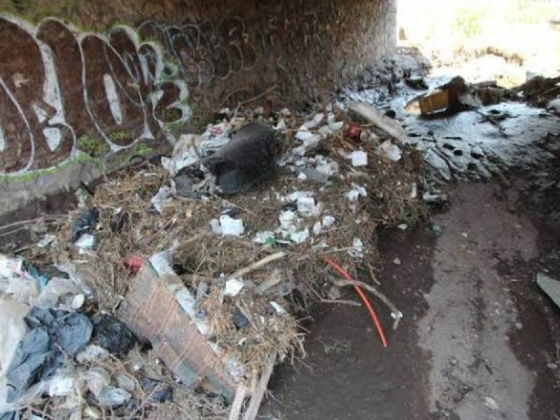 Basura genera desborde de agua en ríos y arroyos.