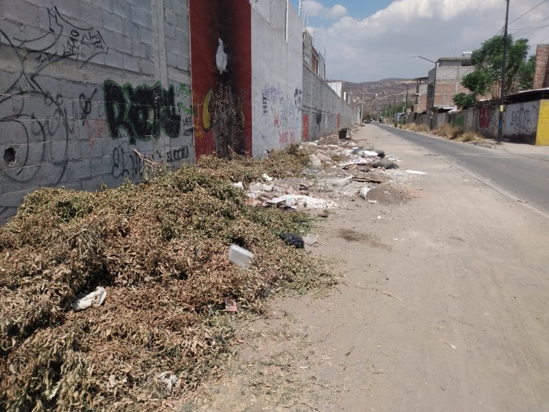 Basura genera inseguridad en Villas de San Juan