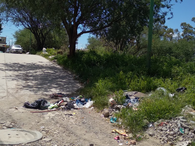 Basura genera contaminación en Villas de San Nicolás