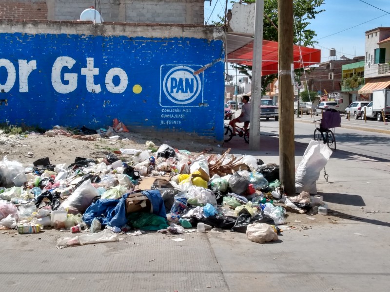 Basura, grave problema en la 10 de Mayo