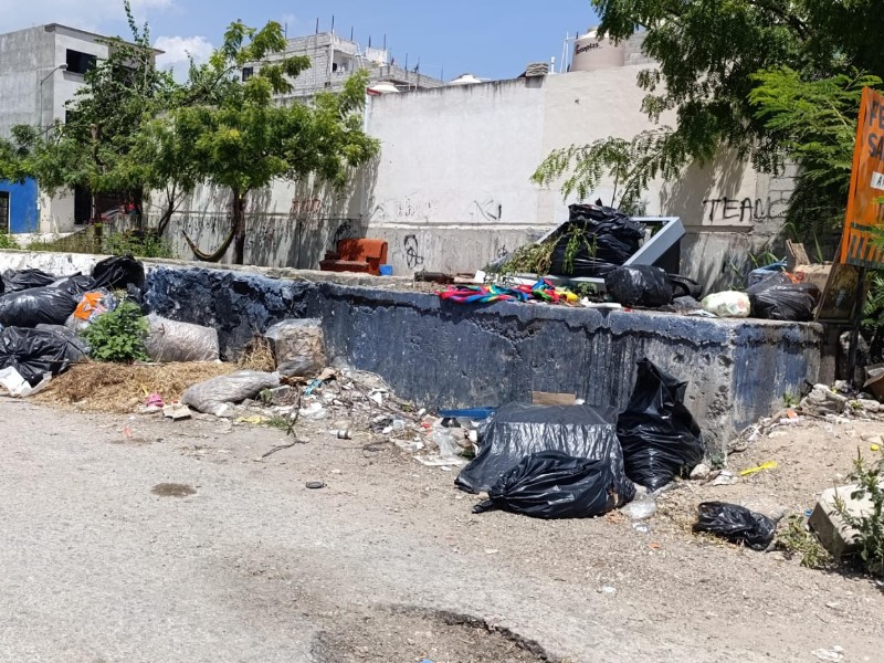 Basura inunda calles de Jardines del Grijalva Chiapa de Corzo