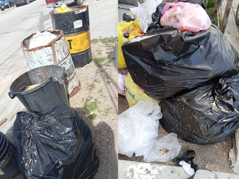 Basura se está acumulando en Cabo San Lucas; iniciativa privada pide solución