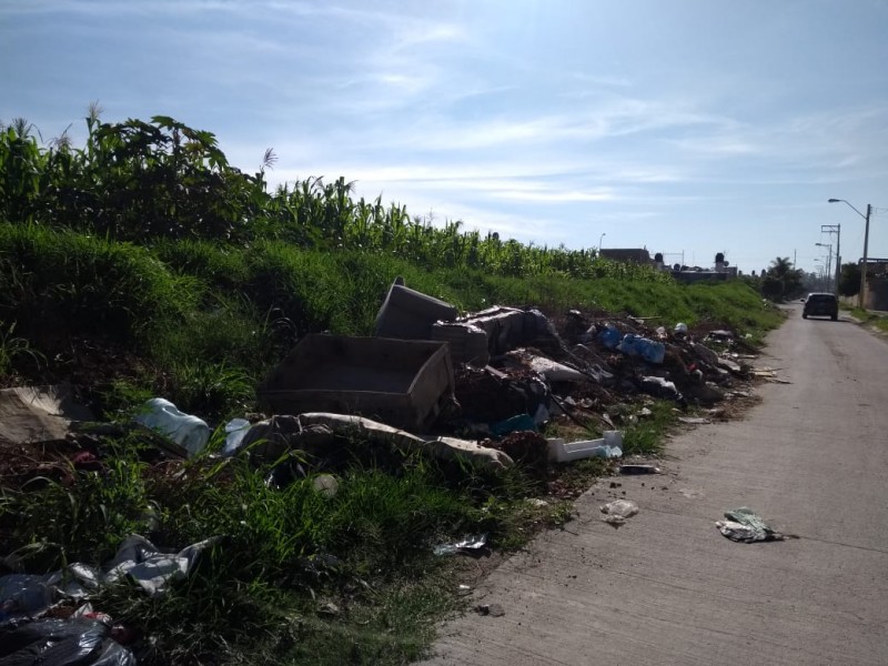 Basura sigue contaminando baldios