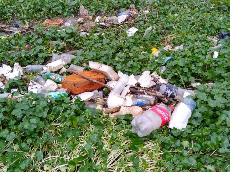 Basura taponea afluentes en Pueblo Mágico