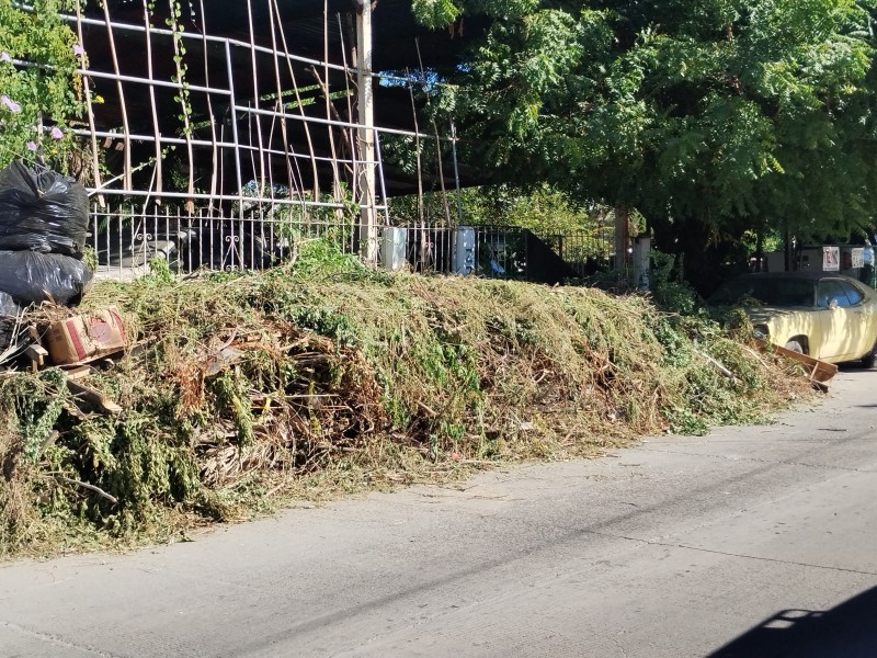 Basura tirada en vía pública por casi dos meses