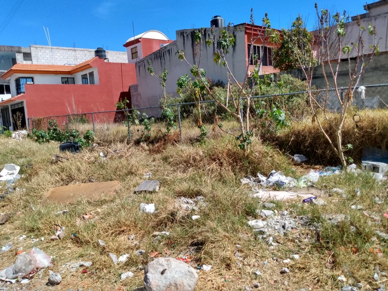 Basura y delincuencia en colonia 16 de Septiembre Sur