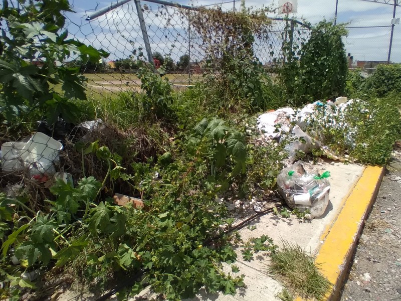 Basura y escombro afectan a vecinos de El Patrimonio