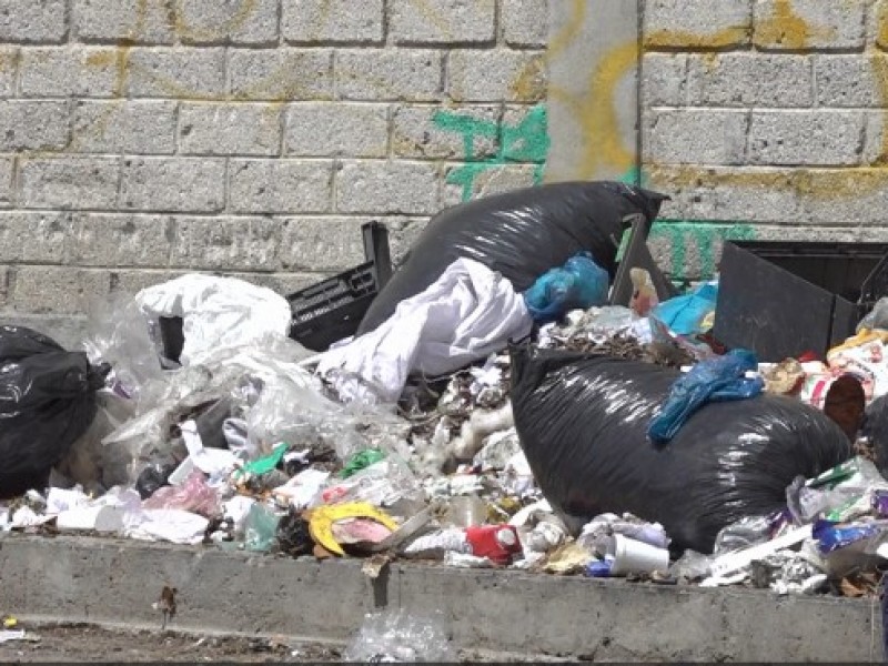 Basura y hospital mascotas pendientes tras segundo año de gobierno