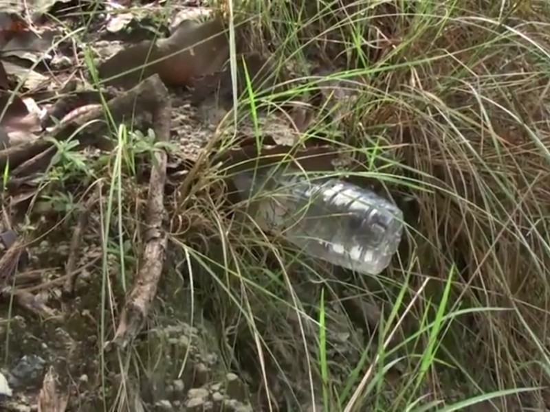 Basura y más basura en ANP de bosque