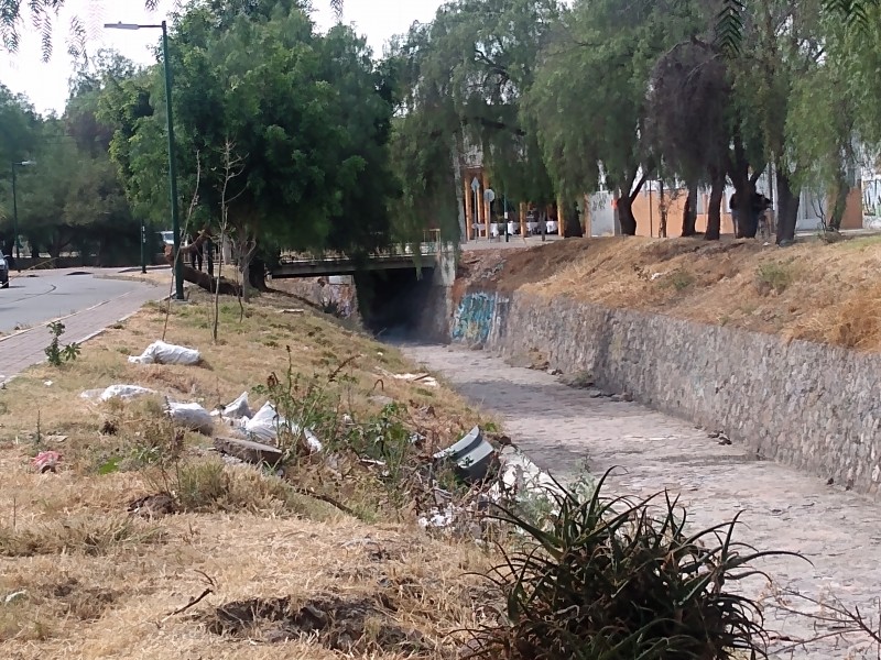 Basura y quemas contaminan en Arroyo del Muerto