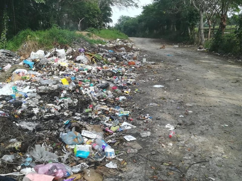 Basurero al aire libre contamina en Tancoco