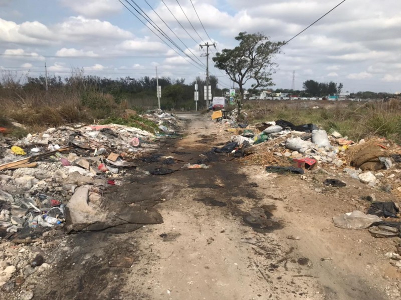 Basurero clandestino en el poniente de Veracruz