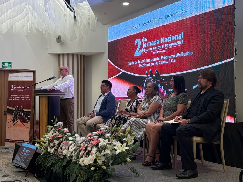 BCS cría zancudos “wolbachia” para prevenir la transmisión del dengue