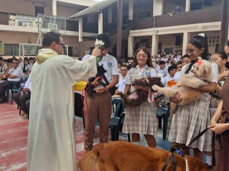 Bendecirán mascotas en Catedral de Veracruz