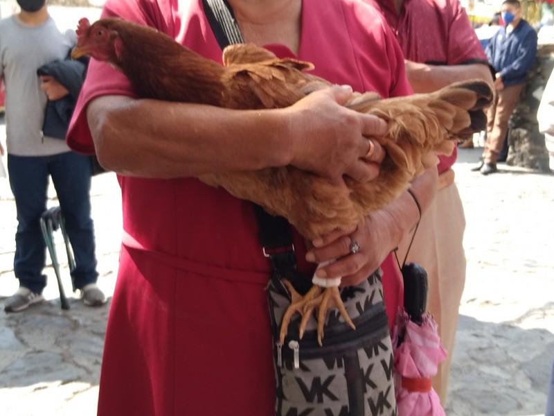 Bendicen animales en parroquia de San Antonio Abad en Ocoyoacac