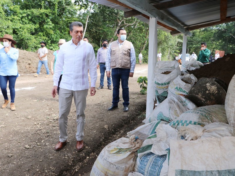 Beneficios del programa sembrando vida para Chiapas