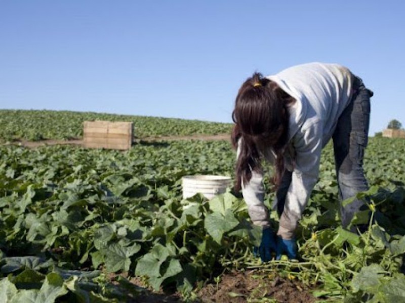 Bethzy trabaja en el campo y quiere ser policía