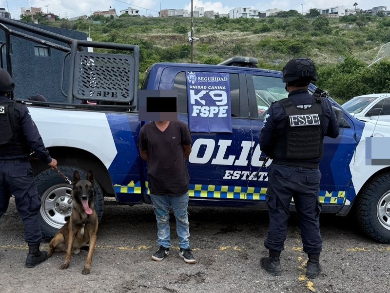Binomio canino detecta más de 200 dosis de droga durante operativo