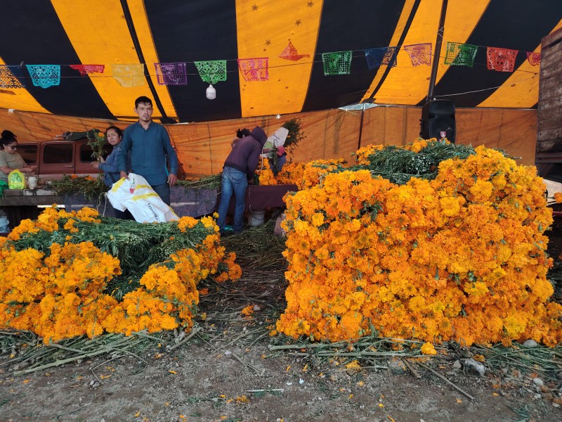 Bloqueos afecta venta de flor en San Francisco Putla Bloqueos afecta venta de flor en San Francisco Putla