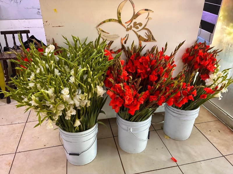 Bloqueos en el sur retrasan llegada de flores para Día de Muertos Bloqueos en el sur retrasan llegada de flores para Día de Muertos