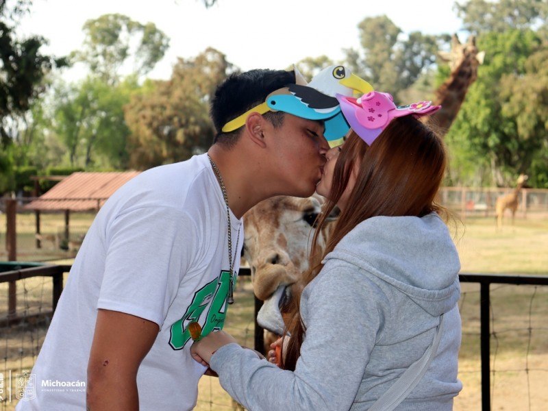 Bodas y cena romántica en el Zoo de Morelia