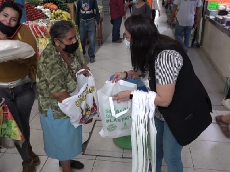 Bolsas para el sur de Sinaloa