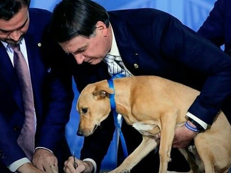 Bolsonaro hace firmar a un perro ley contra maltrato animal