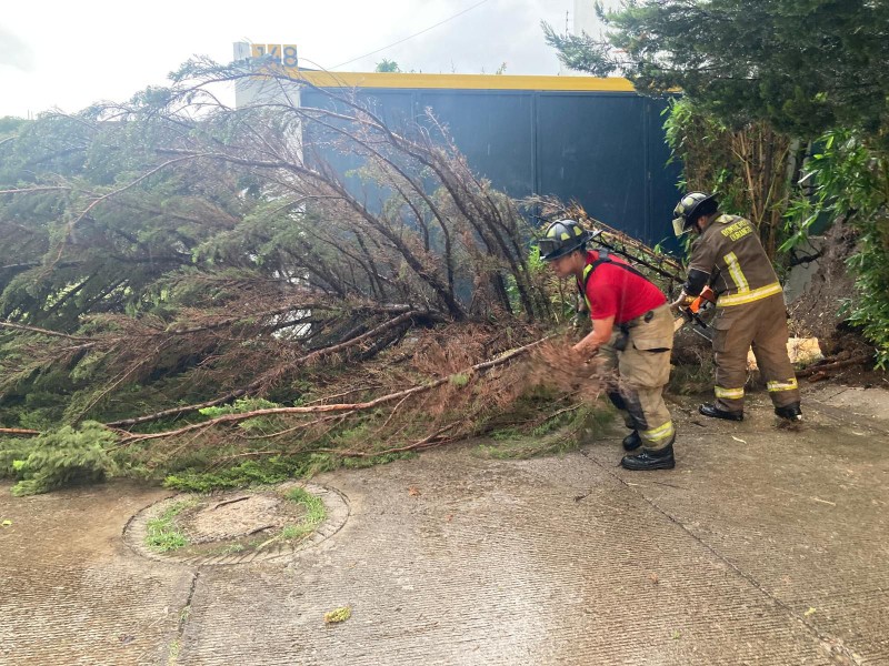 Bomberos atienden emergencias por lluvias en Durango