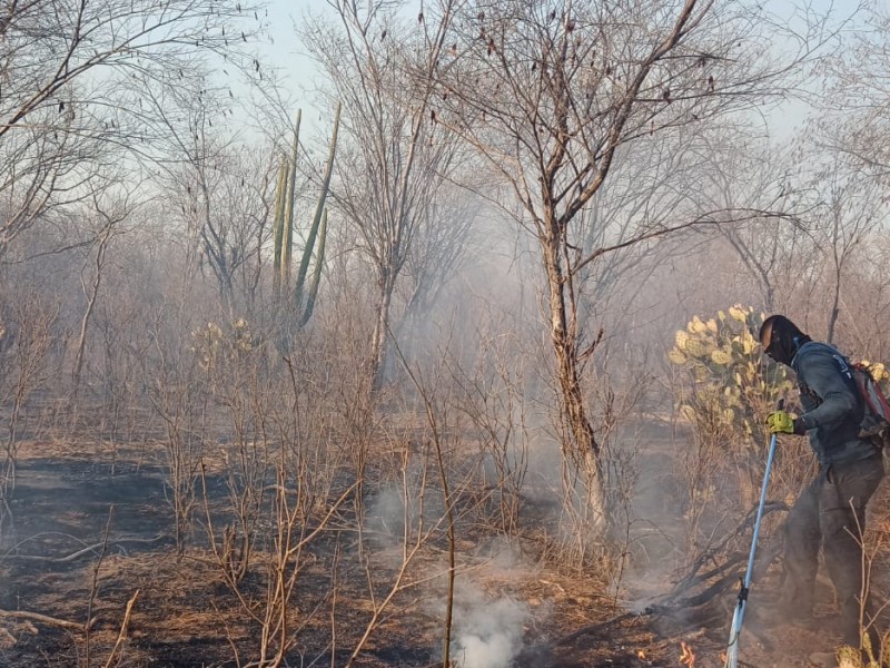 Bomberos combaten tres incendios forestales de más de 500 hectáreas
