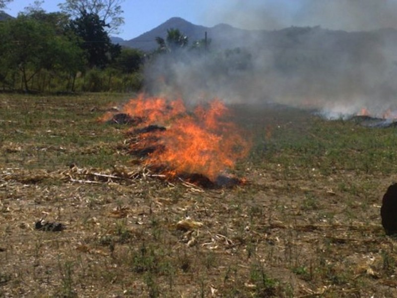 Bomberos dejó de trabajar en incendio del domingo por protocolo