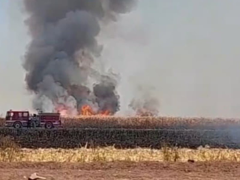 Bomberos en Etchojoa no asistirán a quemas de gavilla