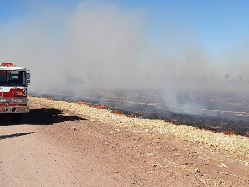 Bomberos llama a productores evitar quema de soca