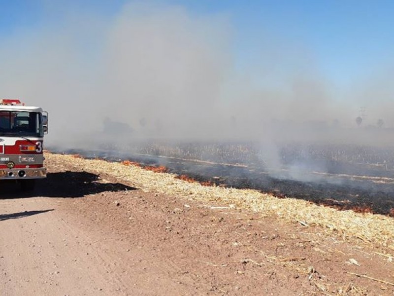 Bomberos llaman a erradicar quema de soca