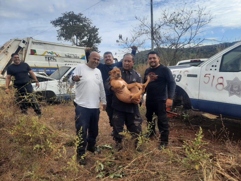 Bomberos rescatan a perro que quedó atrapado en un auto