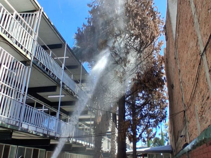 Bomberos sofocan incendio de árbol dentro de secundaria Benito Juárez