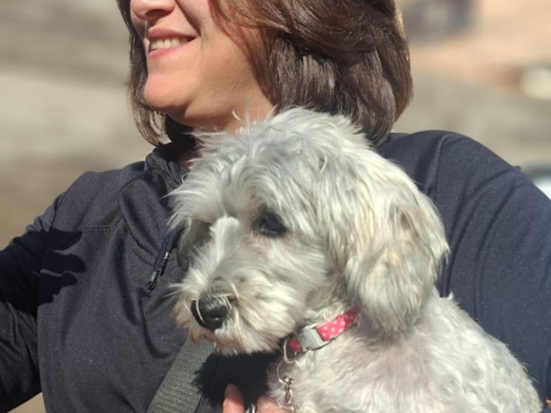 Bordetella: alerta respiratoria en mascotas