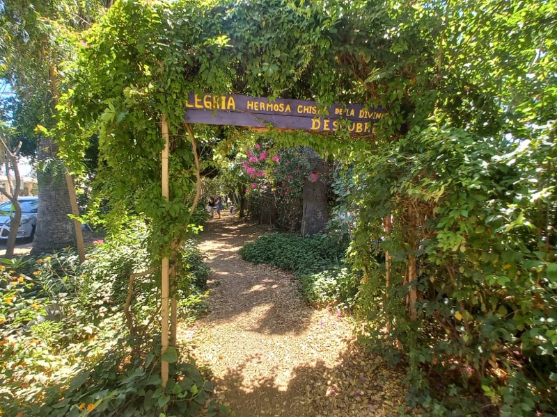 Bosque de la Alegría contribuye a preservar a fauna polinizadora