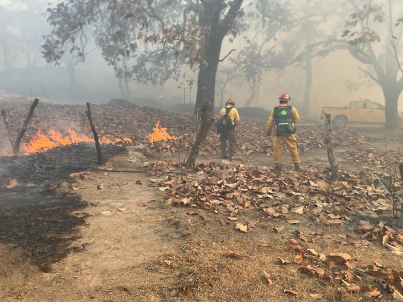 Bosque de La Primavera otra vez asediado por el fuego