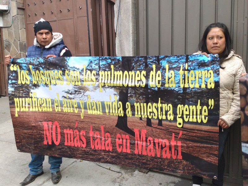 Bosques devastados por la tala en San Nicolás