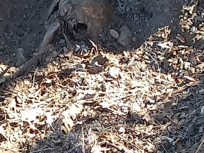 Brigada especial encuentra restos óseos en Nogales