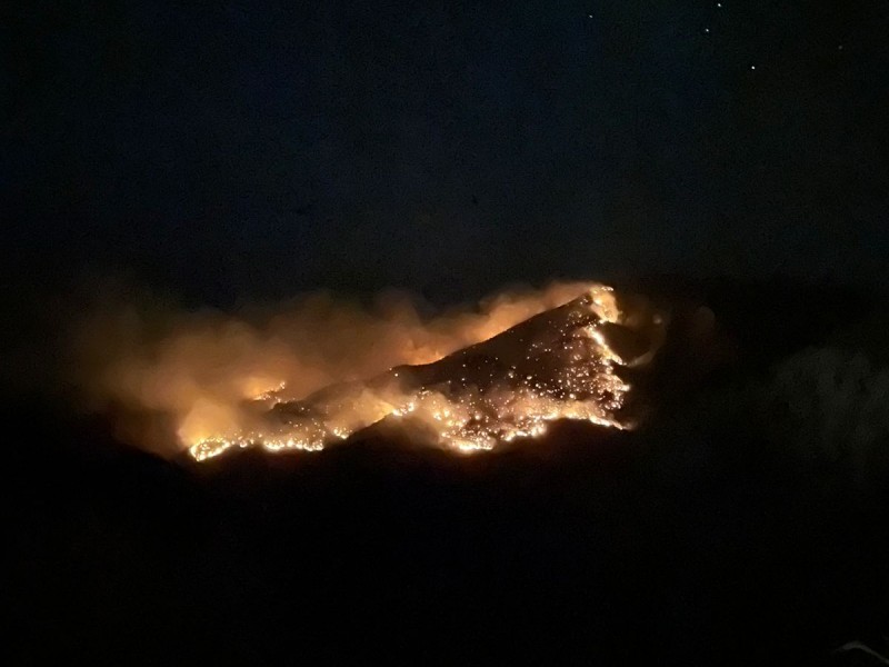 Brigada Estatal de Manejo de Fuego combate incendio en el norte de Sonora