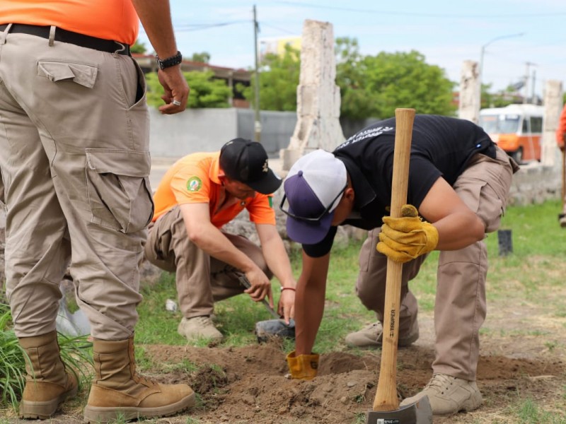 Brigada Estatal de Manejo de Fuego trabaja en la reforestación